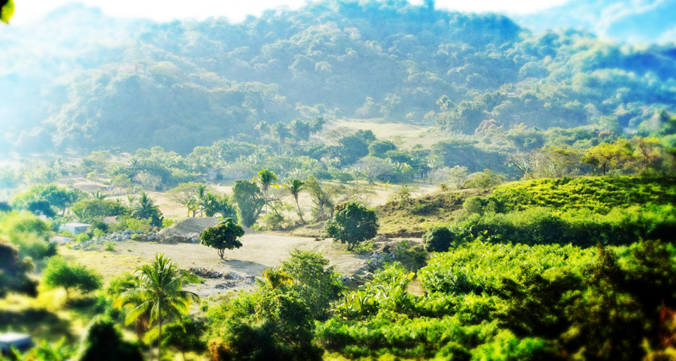 sayulita-gringo-hill