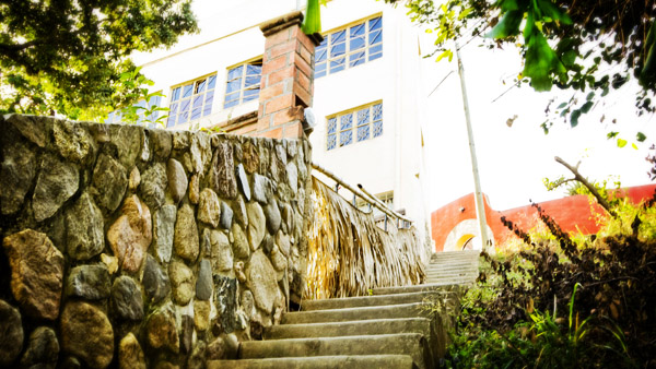 These stairs lead directly from a downtown street onto the lower reaches of Gringo Hill