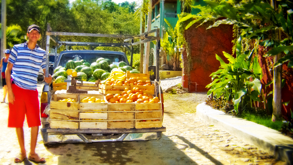 You can buy fruits and vegetables at your front door from a retail truck