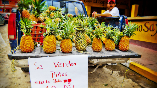 More than one kind of pineapple for sale from a roadside truck