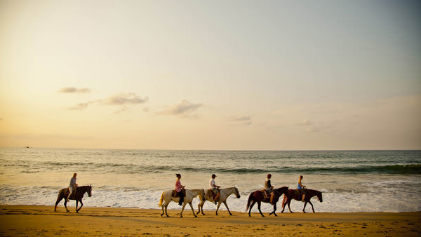 -en-horseback-riding-is-a-great-family-or-group-activity-es-cabalgar-es-una-gran-actividad-familiar-o-de-grupo-