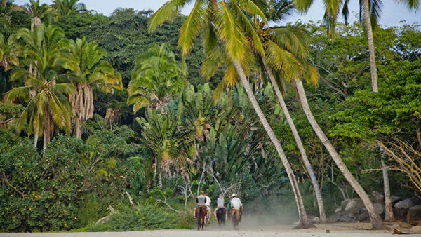 -en-exploring-the-jungle-on-horseback-es-explore-el-bosque-a-caballo-