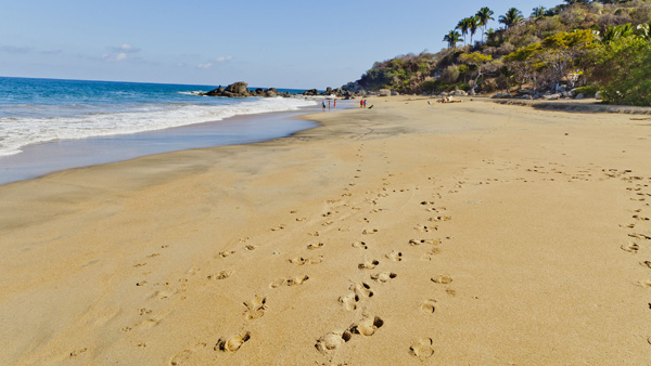 -en-tracks-in-the-sands-of-carricitos-beach-es-huellas-en-la-arena-de-carricitos-